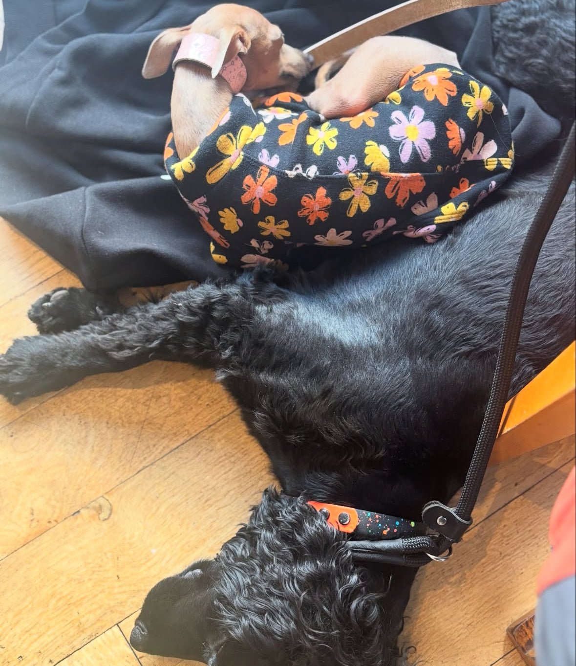 Fleece Lined Sweatshirt Jumper - Flower Power - Pet Supplier Store