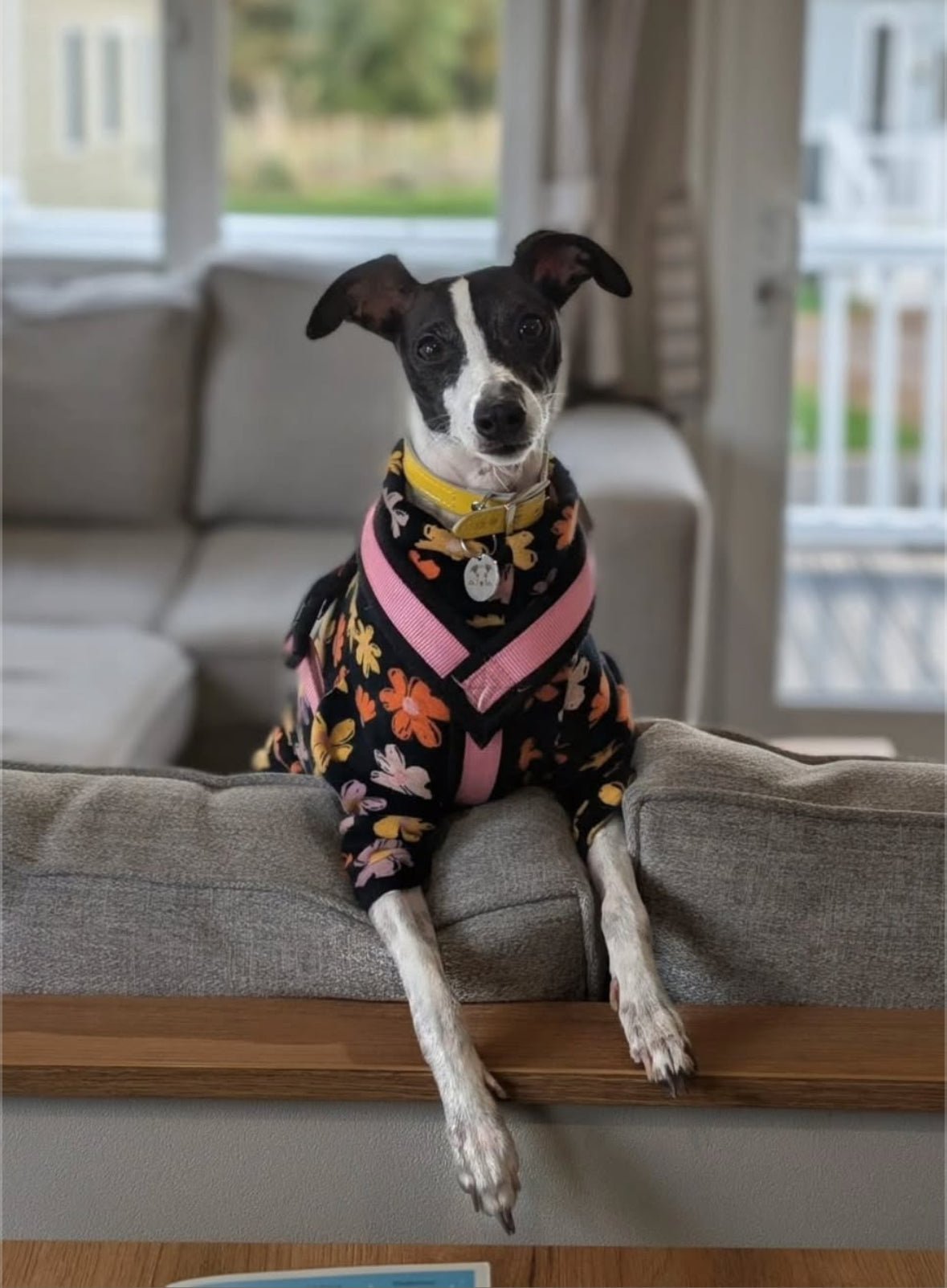 Fleece Lined Sweatshirt Jumper - Flower Power - Pet Supplier Store