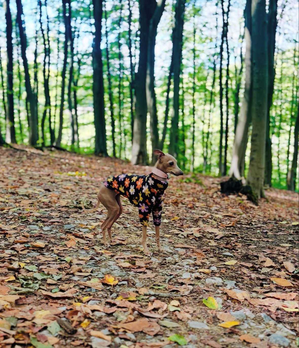 Fleece Lined Sweatshirt Jumper - Flower Power - Pet Supplier Store