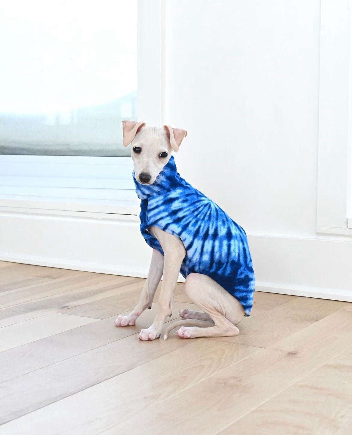 Fleece Lined Sweatshirt Vest - Burgundy - Pet Supplier Store