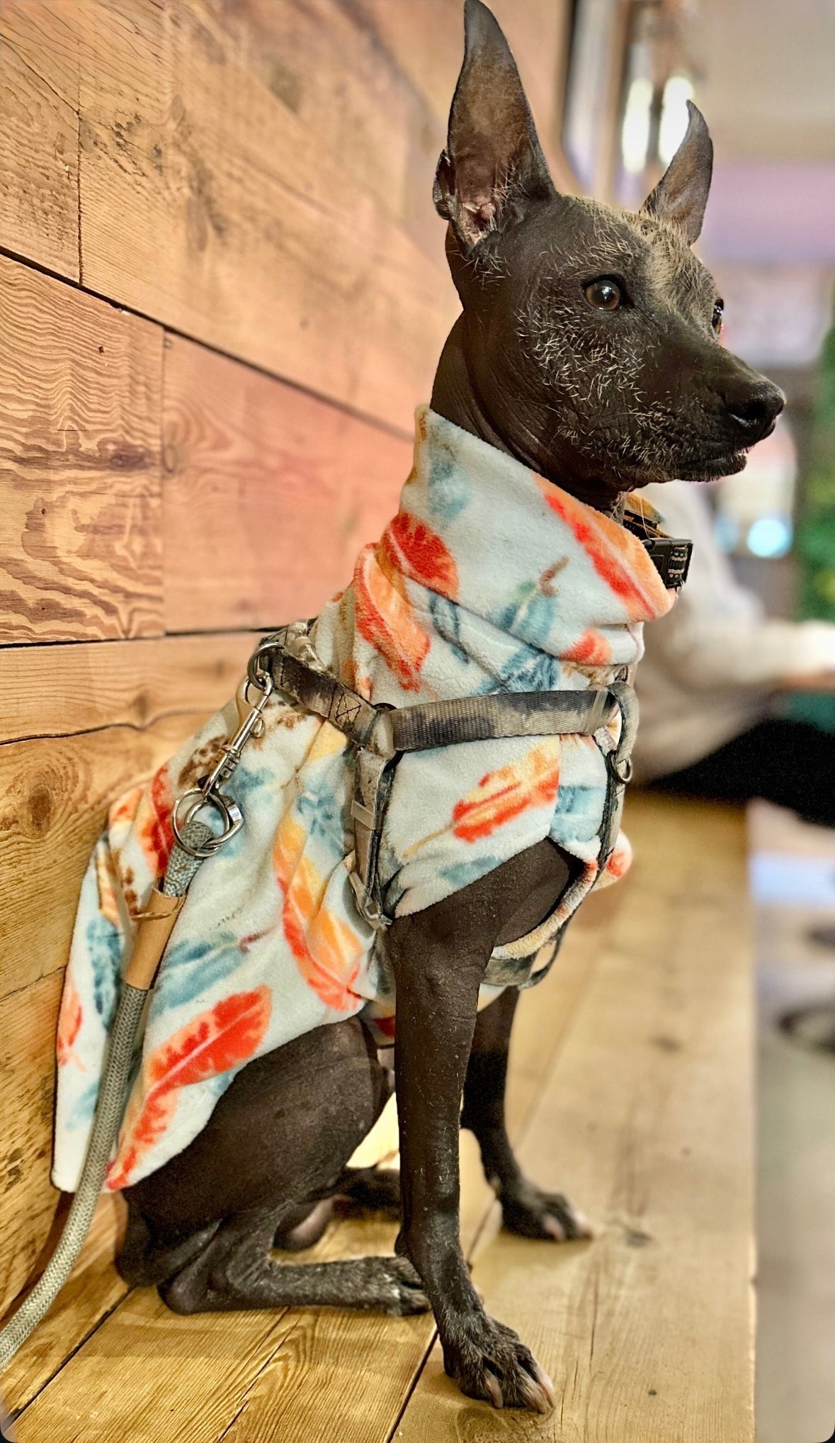 Fleece Lined Sweatshirt Vest - Burgundy - Pet Supplier Store