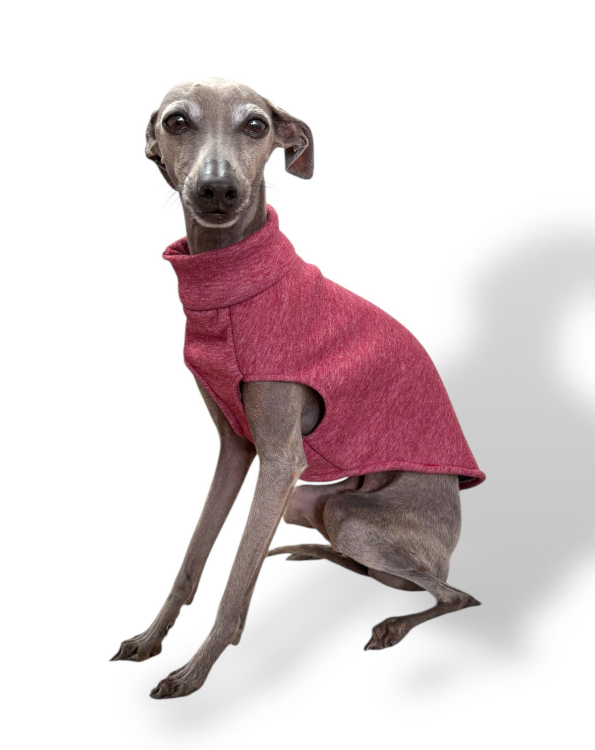 Fleece Lined Sweatshirt Vest - Burgundy - Pet Supplier Store