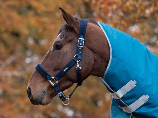 Fleece Padded Head Collar - Navy - Pet Supplier Store