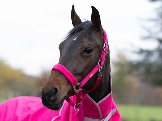 Fleece Padded Head Collar - Pink - Pet Supplier Store