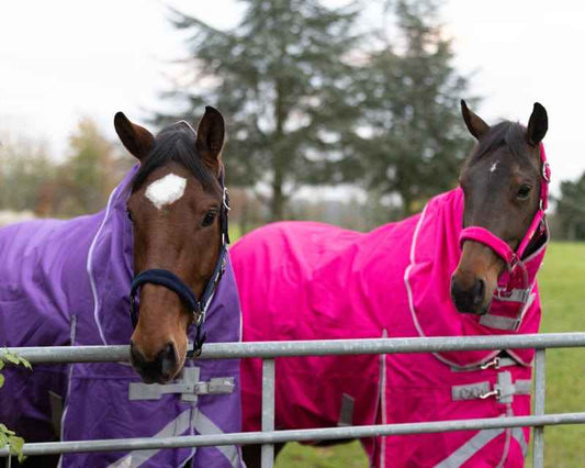 Fleece Padded Head Collar - Pink - Pet Supplier Store