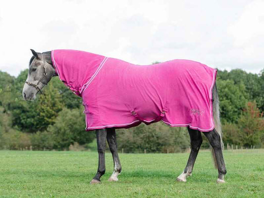 Fleece Rug With Neck Cover - Berry - Pet Supplier Store