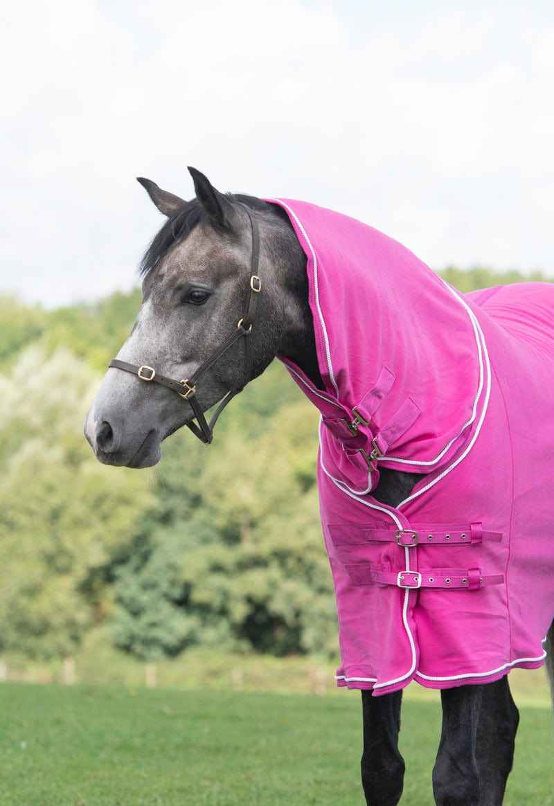 Fleece Rug With Neck Cover - Berry - Pet Supplier Store