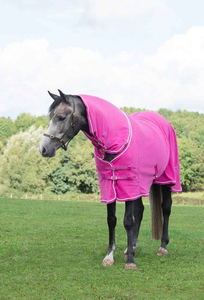 Fleece Rug With Neck Cover - Berry - Pet Supplier Store