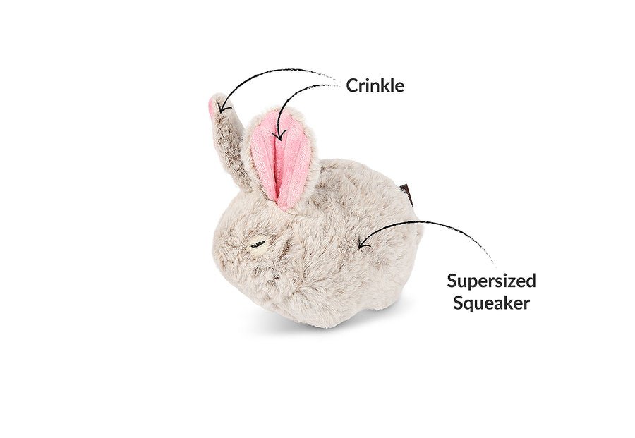 Forest Friends - Baxter the Bunny - Pet Supplier Store