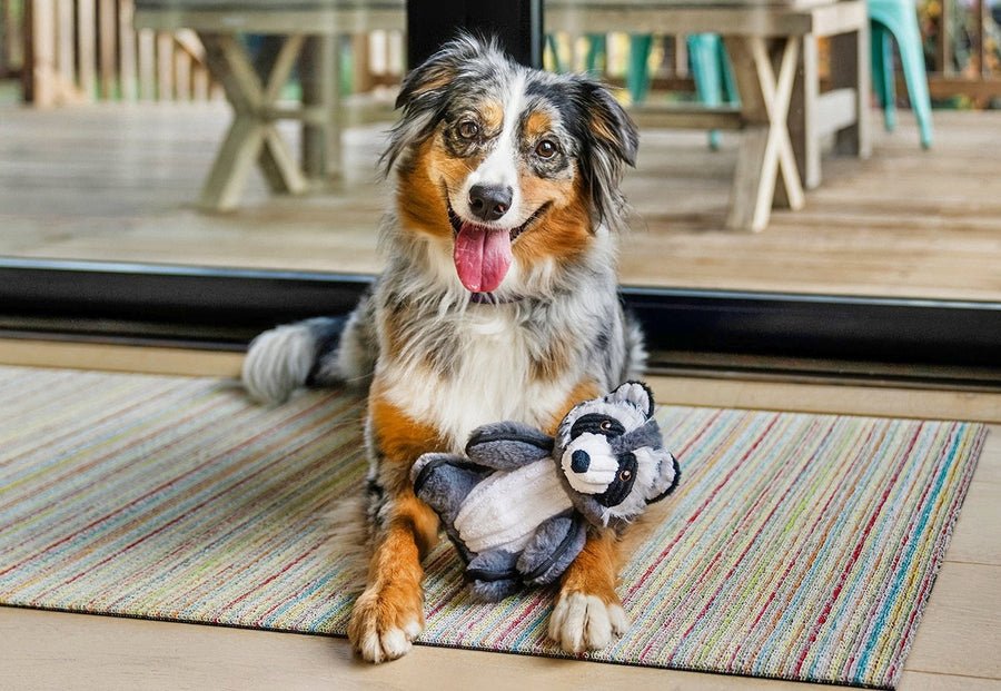 Forest Friends - Robby the Raccoon - Pet Supplier Store