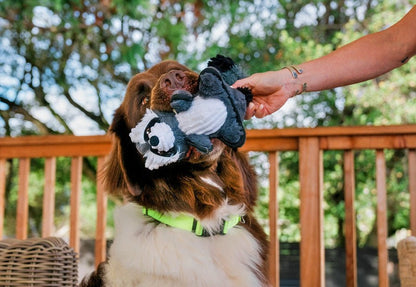 Forest Friends - Robby the Raccoon - Pet Supplier Store