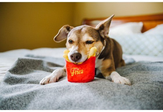 French Fries Plush Dog Toy - Pet Supplier Store