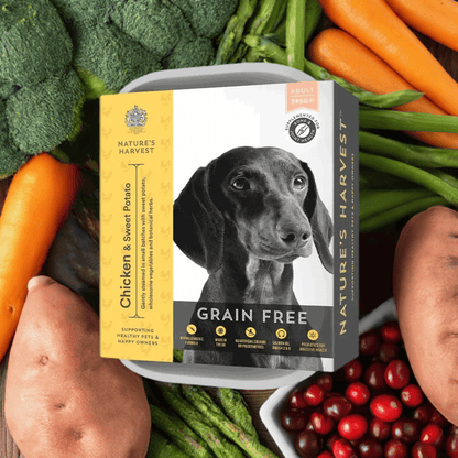 Grain Free Chicken & Sweet Potato - Adult - Pet Supplier Store