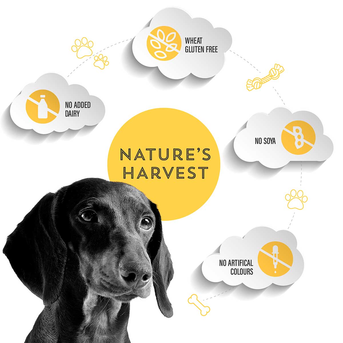 Grain Free Chicken & Sweet Potato - Adult - Pet Supplier Store