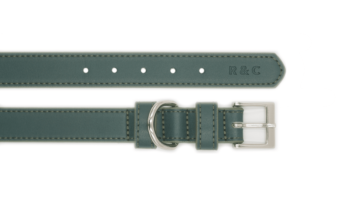 Green Leather Dog Collar - Pet Supplier Store