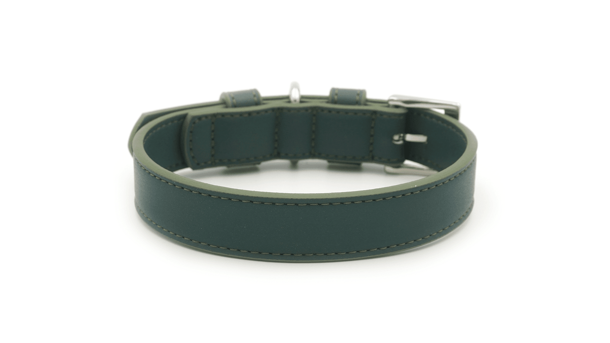Green Leather Dog Collar - Pet Supplier Store