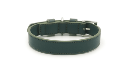 Green Leather Dog Collar - Pet Supplier Store