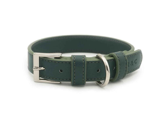Green Leather Dog Collar - Pet Supplier Store