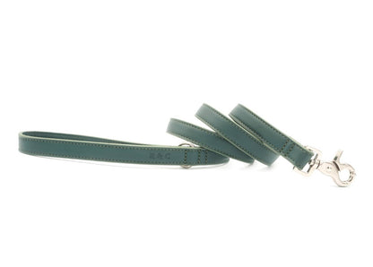 Green Leather Dog Lead - Pet Supplier Store