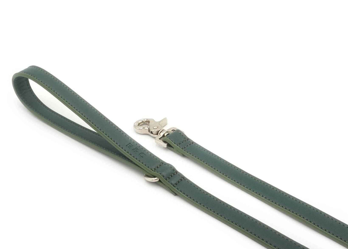 Green Leather Dog Lead - Pet Supplier Store