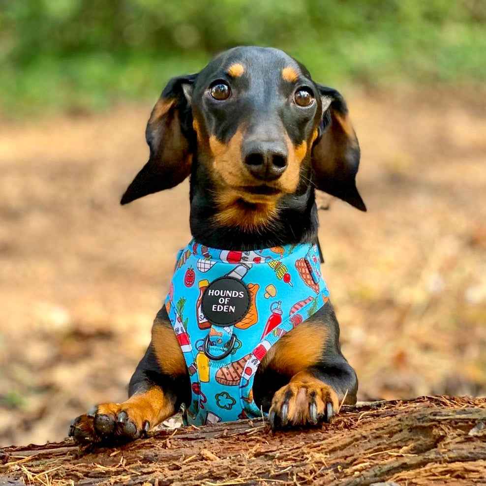 Grill 'n' Chill - Poop Bag Holder - Pet Supplier Store