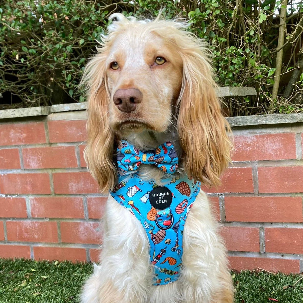 Grill 'n' Chill - Poop Bag Holder - Pet Supplier Store