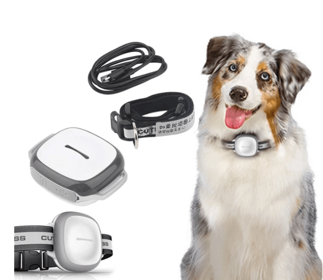 GSP Pet Locator / Tracker - Pet Supplier Store