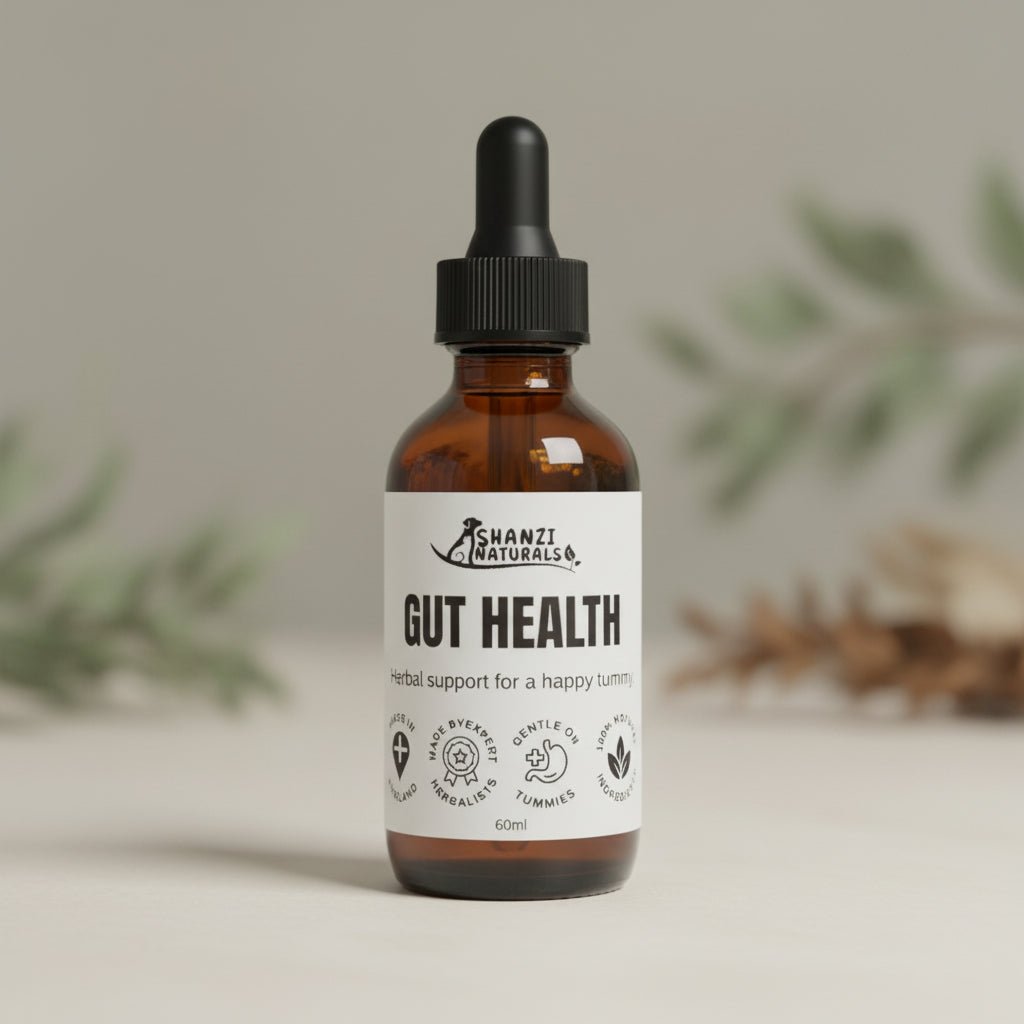 Gut Health Tincture - 100ml - Pet Supplier Store