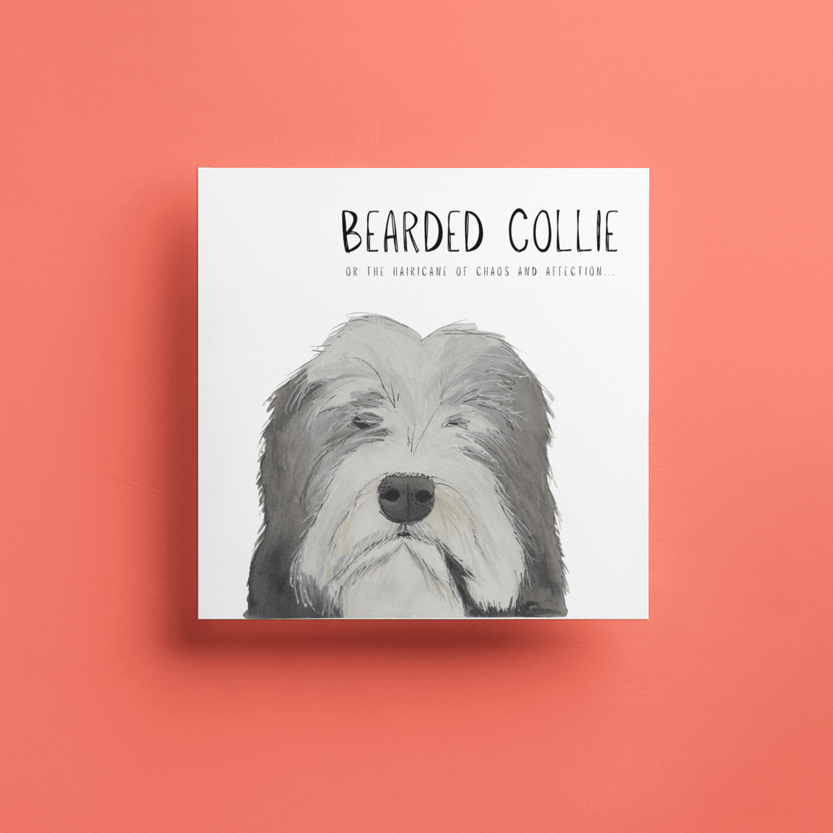 Hairy Wishes & Tailspins: Bearded Collie Greeting Card - Pet Supplier Store