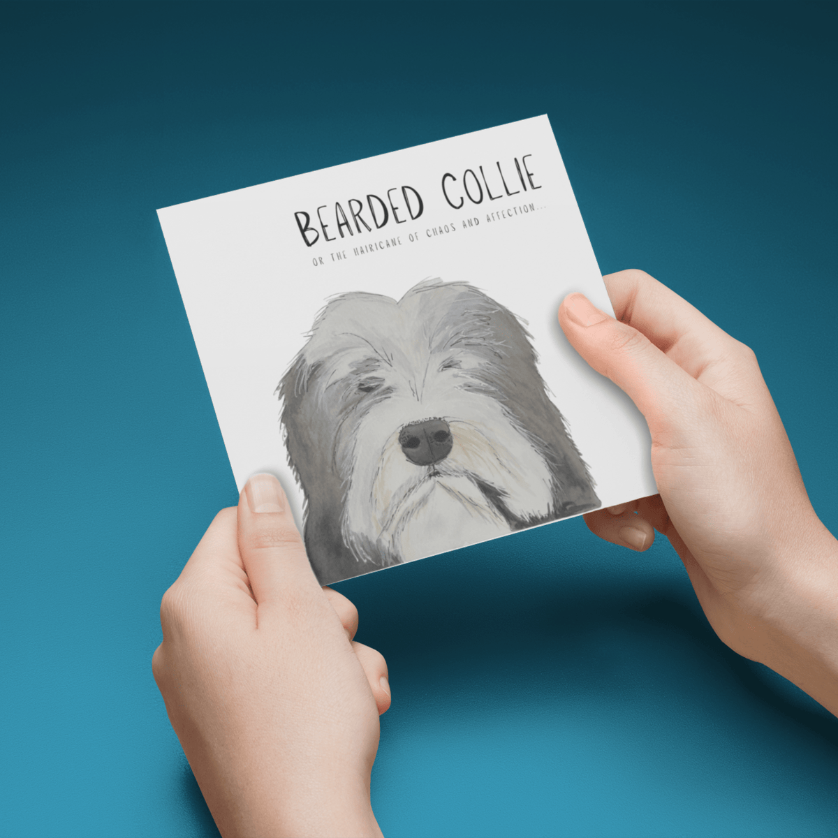 Hairy Wishes & Tailspins: Bearded Collie Greeting Card - Pet Supplier Store