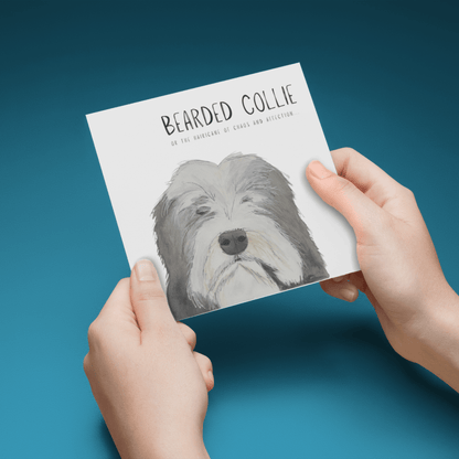 Hairy Wishes & Tailspins: Bearded Collie Greeting Card - Pet Supplier Store