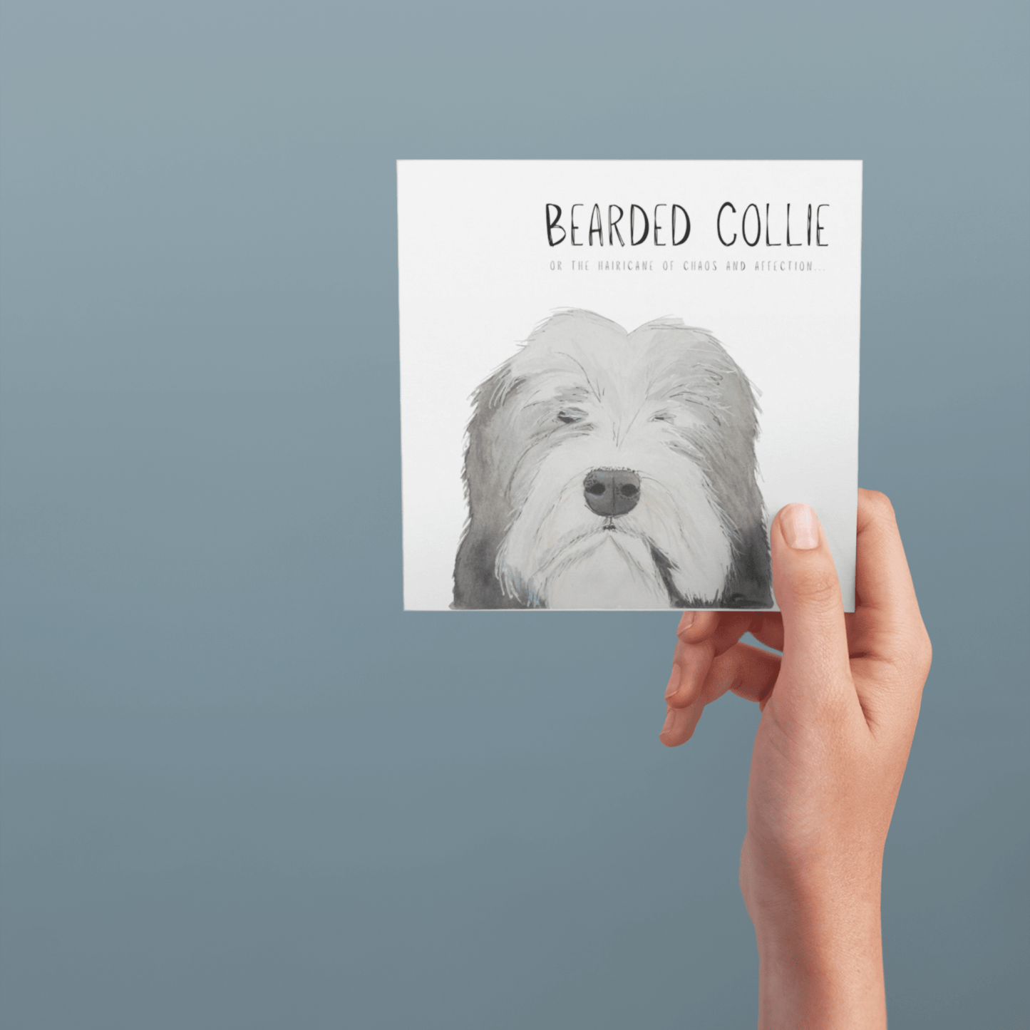 Hairy Wishes & Tailspins: Bearded Collie Greeting Card - Pet Supplier Store