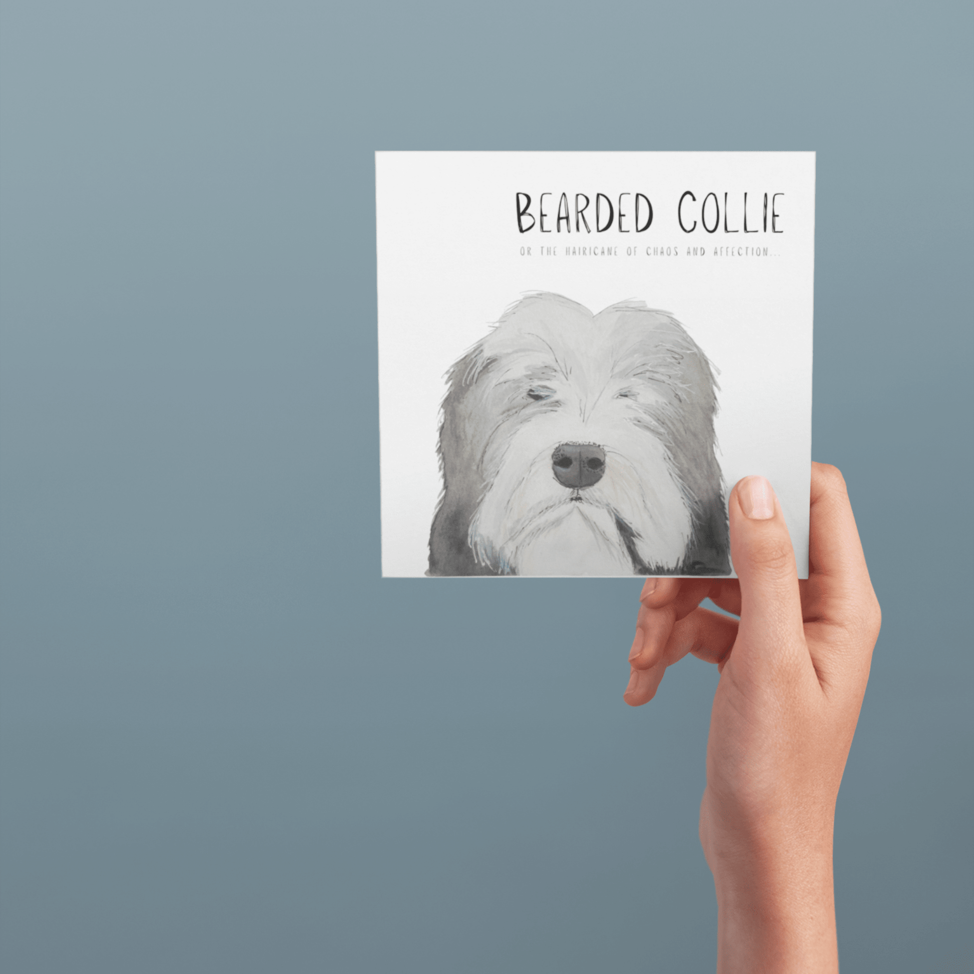 Hairy Wishes & Tailspins: Bearded Collie Greeting Card - Pet Supplier Store