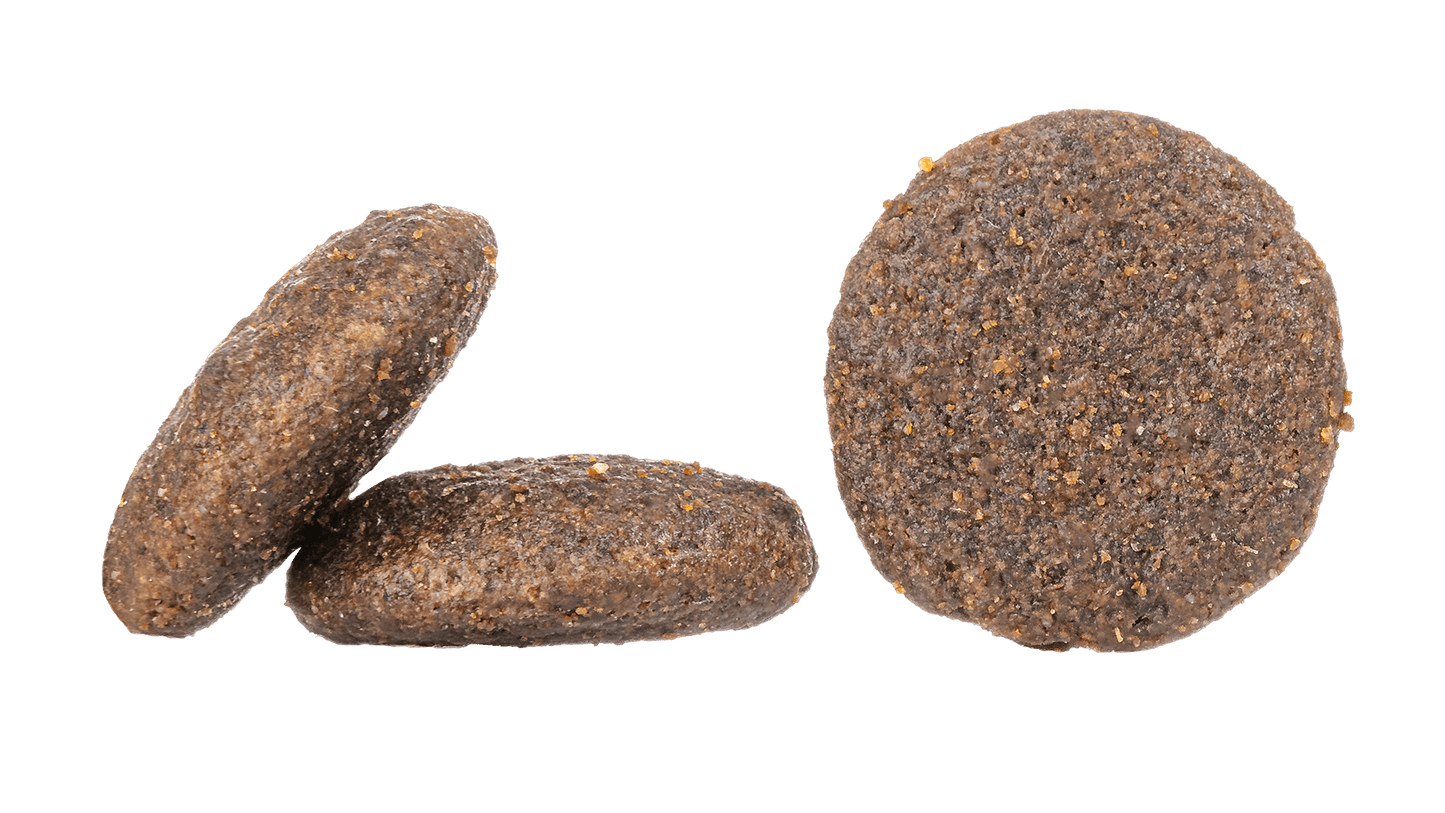 Happy Dog Canada Dog food - Pet Supplier Store