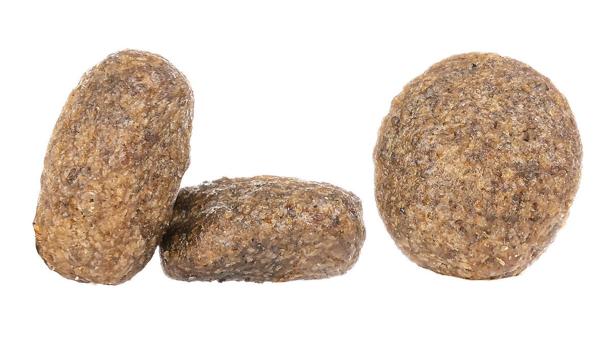 Happy Dog Mini Africa Dog food - Pet Supplier Store