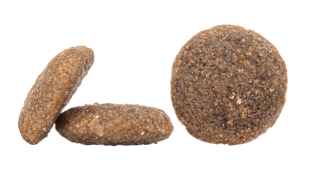 Happy Dog Montana Dog food - Pet Supplier Store