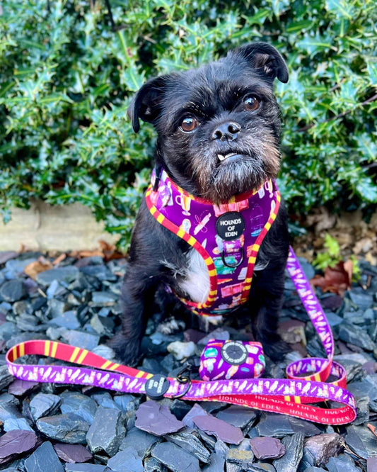 Harry Pawter Design Poop Bag Holder - Pet Supplier Store