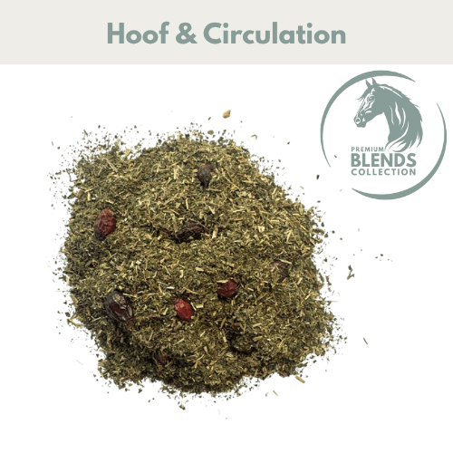 Healthy Hoof Support Blend - Pet Supplier Store