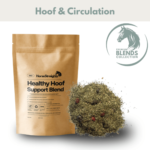 Healthy Hoof Support Blend - Pet Supplier Store