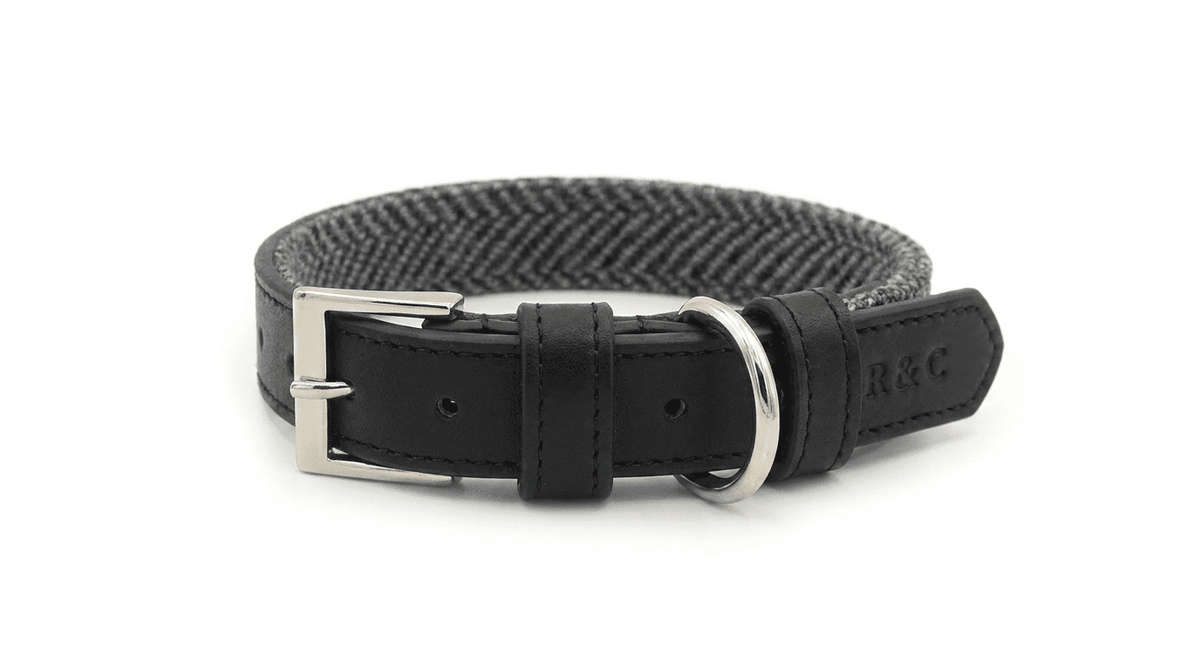 Herringbone & Leather Collar - Balmoral - Pet Supplier Store