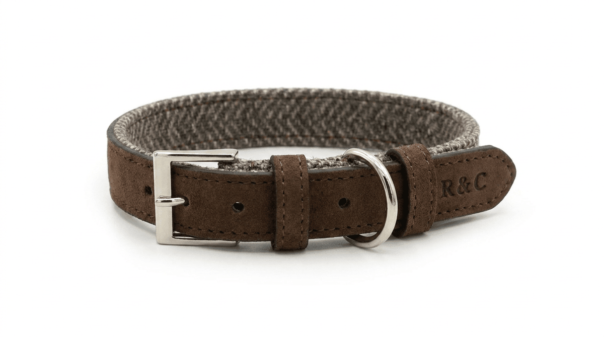 Herringbone & Leather Collar - Lincoln - Pet Supplier Store