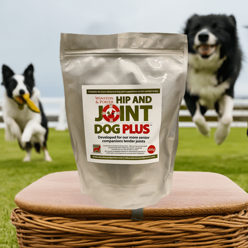 Hip & Joint Dog PLUS – Premium High-Strength Canine Joint Support Powder (UK) - Pet Supplier Store