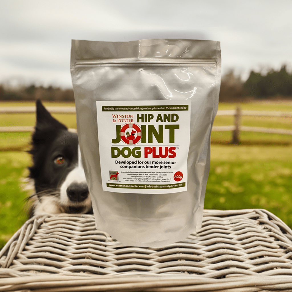Hip & Joint Dog PLUS – Premium High-Strength Canine Joint Support Powder (UK) - Pet Supplier Store