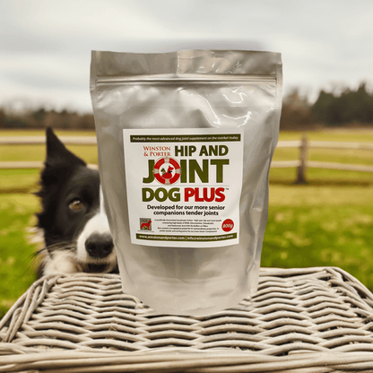 Hip & Joint Dog PLUS – Premium High-Strength Canine Joint Support Powder (UK) - Pet Supplier Store