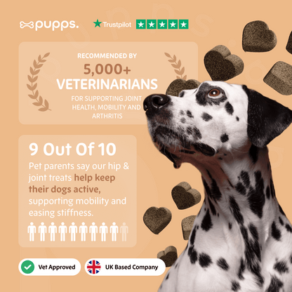Hip & Joint Treats - Pet Supplier Store