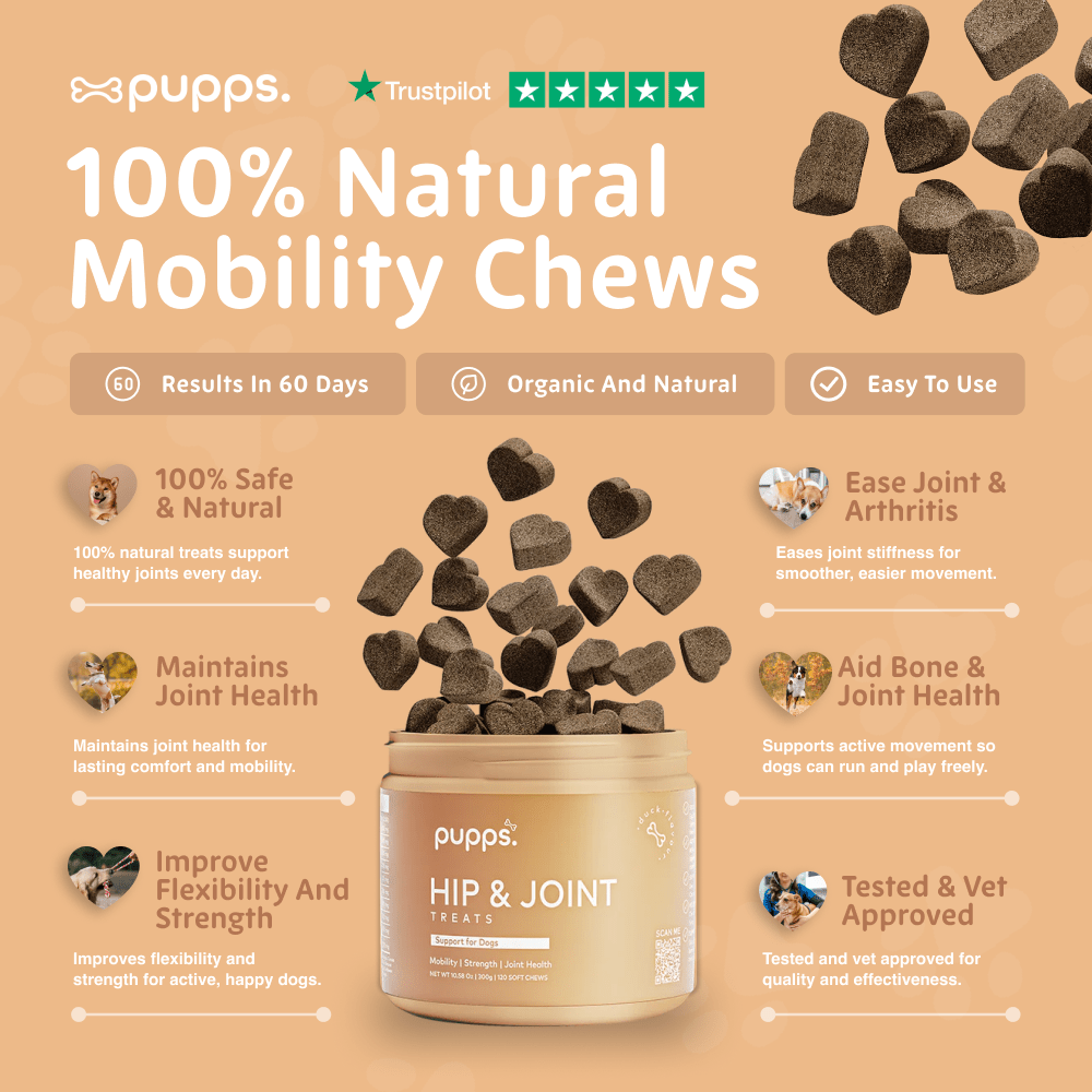 Hip & Joint Treats - Pet Supplier Store
