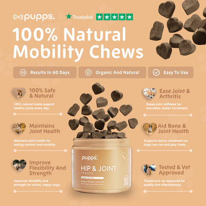 Hip & Joint Treats - Pet Supplier Store