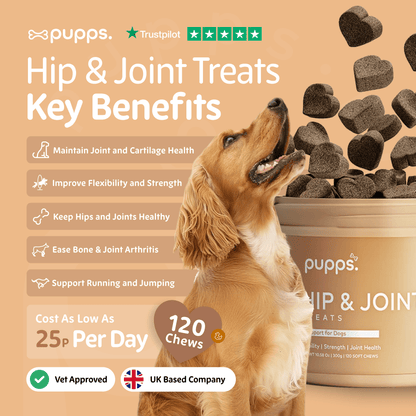 Hip & Joint Treats - Pet Supplier Store