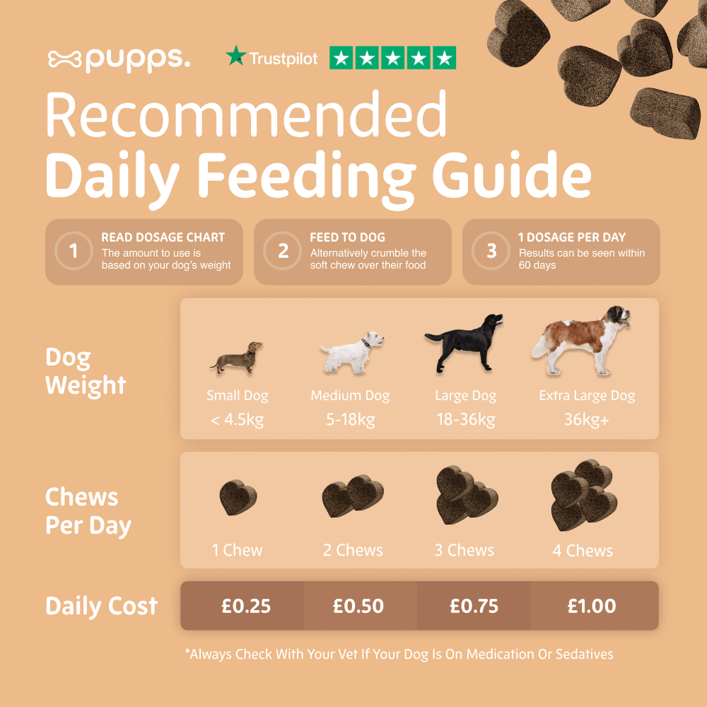 Hip & Joint Treats - Pet Supplier Store