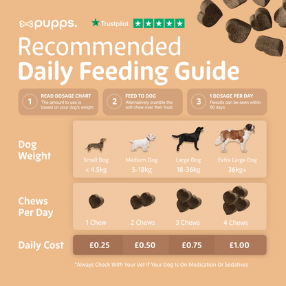 Hip & Joint Treats - Pet Supplier Store